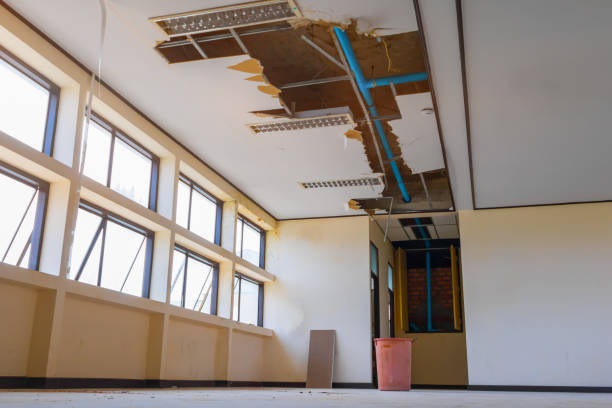 Best Sewage cleanup and water damage restoration  in Marfa, TX