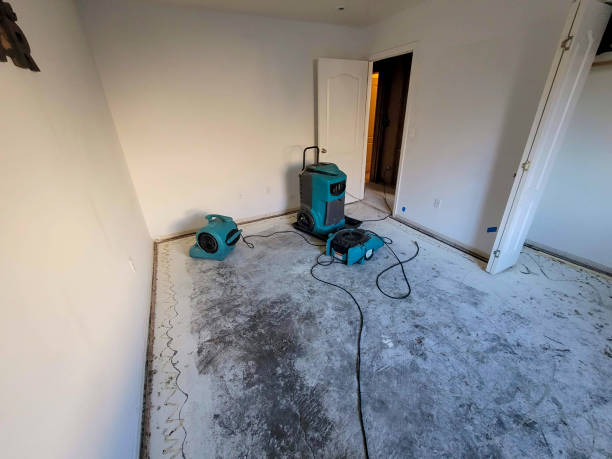 Best Emergency water damage restoration  in Marfa, TX