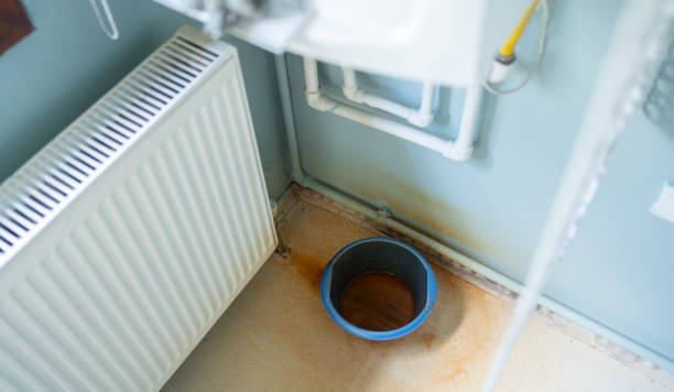 Best Basement water damage restoration  in Marfa, TX