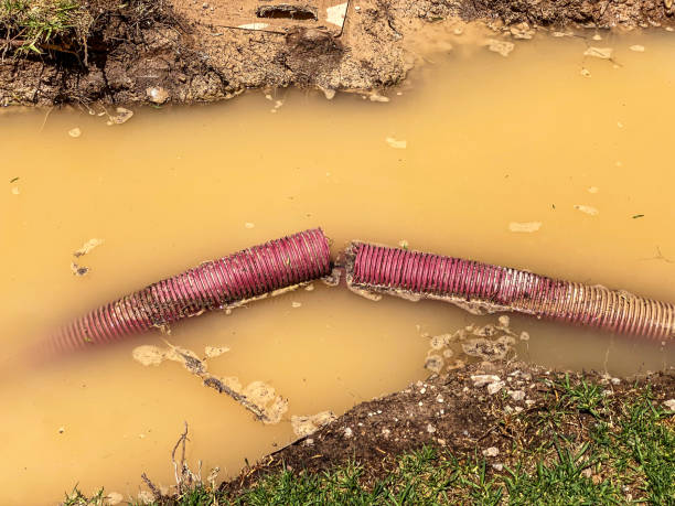 Water damage restoration insurance claims in Marfa, TX